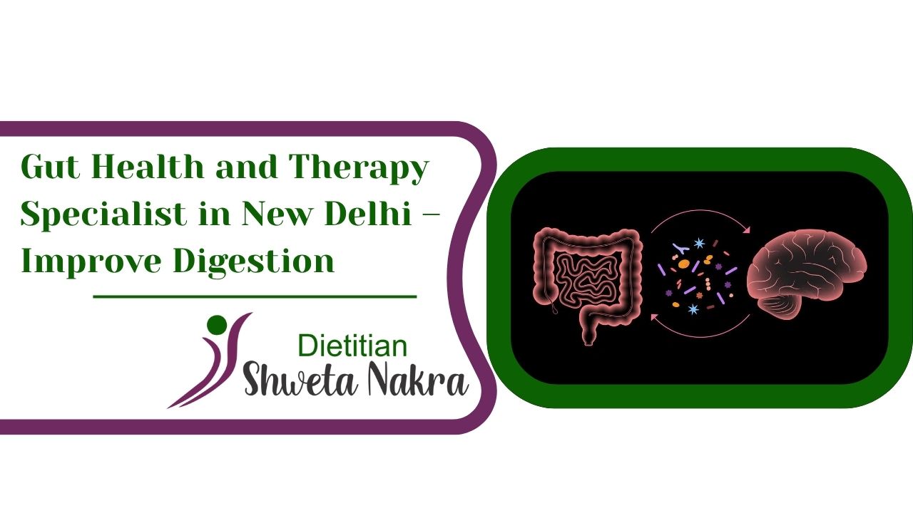 gut health and therapy specialist in New Delhi
